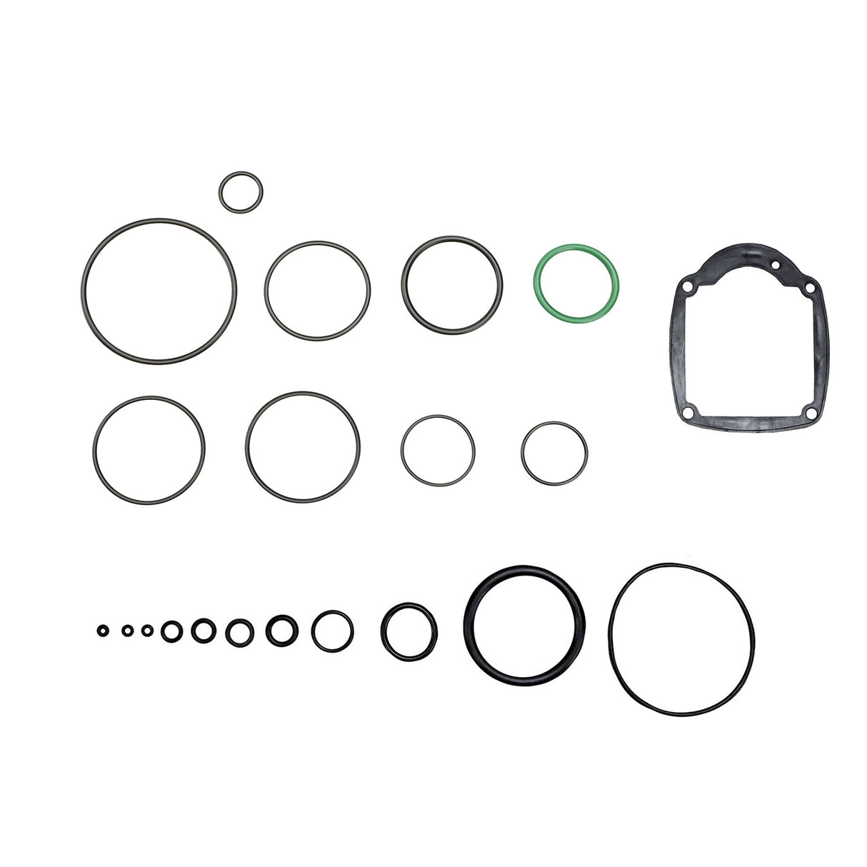 Replacement O-Ring Kit for PCN50 Coil Siding Nailer