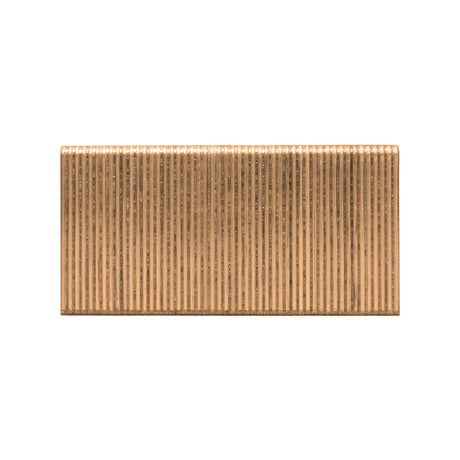 FS-15 15.5-Gauge 1-1/2" Glue Collated Flooring Staples with 1/2" Crown (5000 Count)