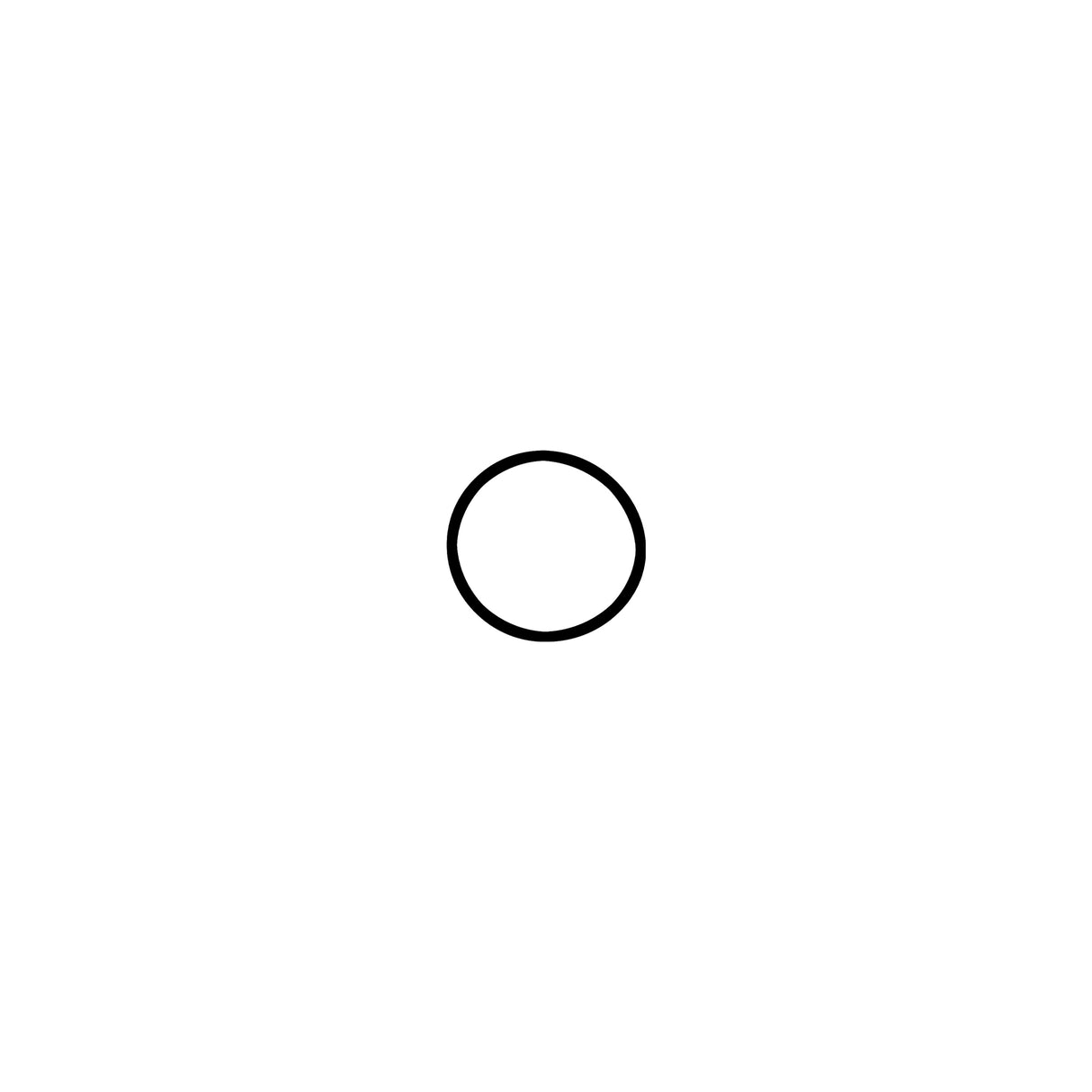 RPP123 Replacement O-Ring Kit for PP123 Micro Pinner